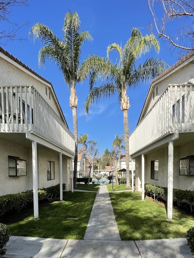 Building Photo - Tanglewood Apartments