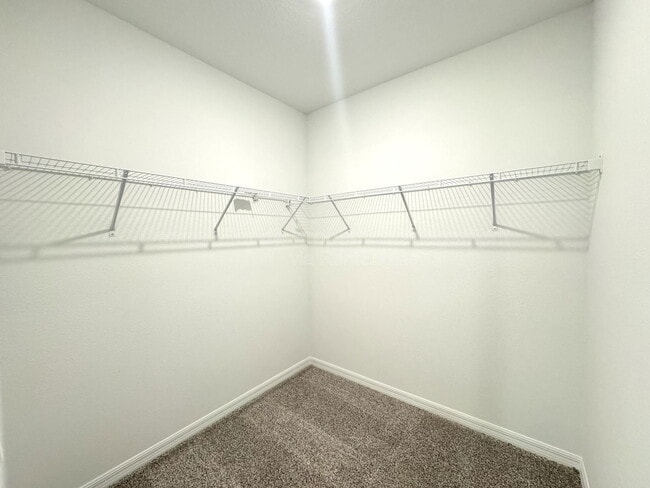 Building Photo - 3201 Viceroy Ct