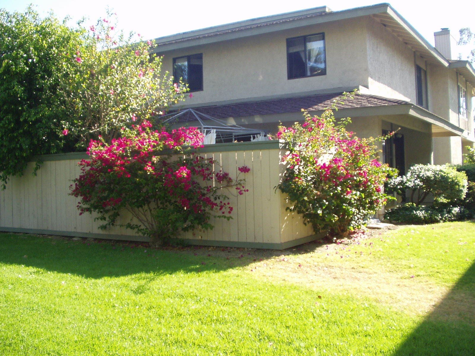 VIEW OF OUTSIDE PATIO - 10157 Caminito Jovial