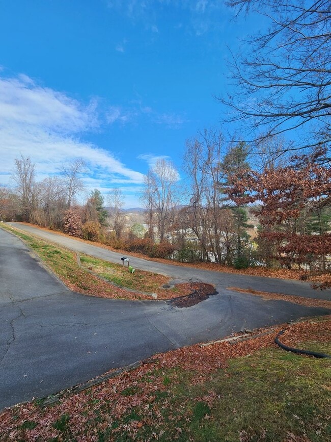 Building Photo - Asheville Rental!