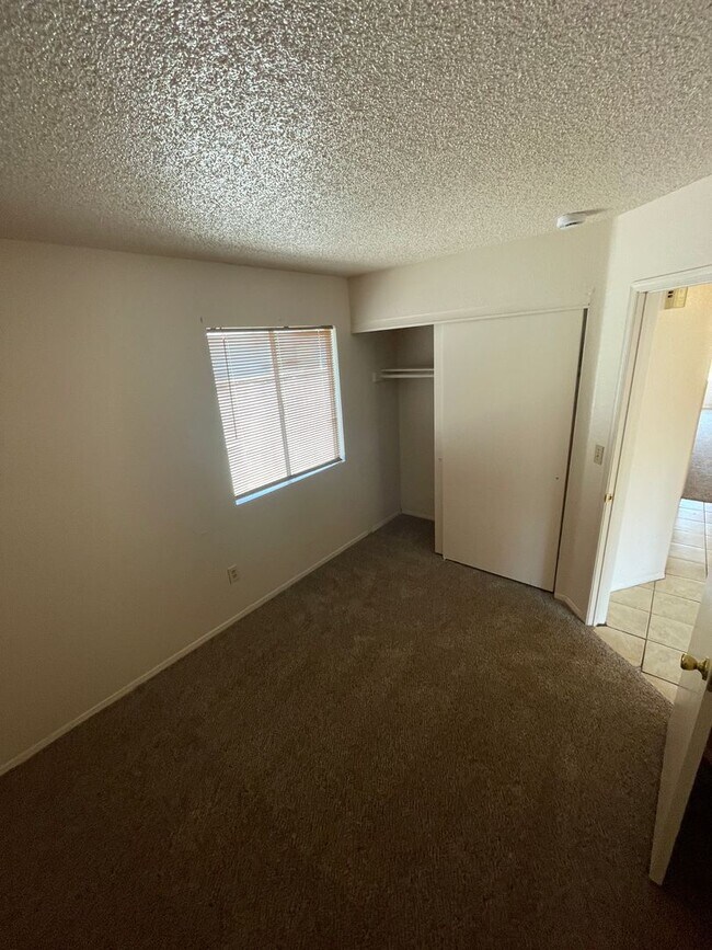 Building Photo - READY TO VIEW NOW! -Brand New Carpet & Pai...
