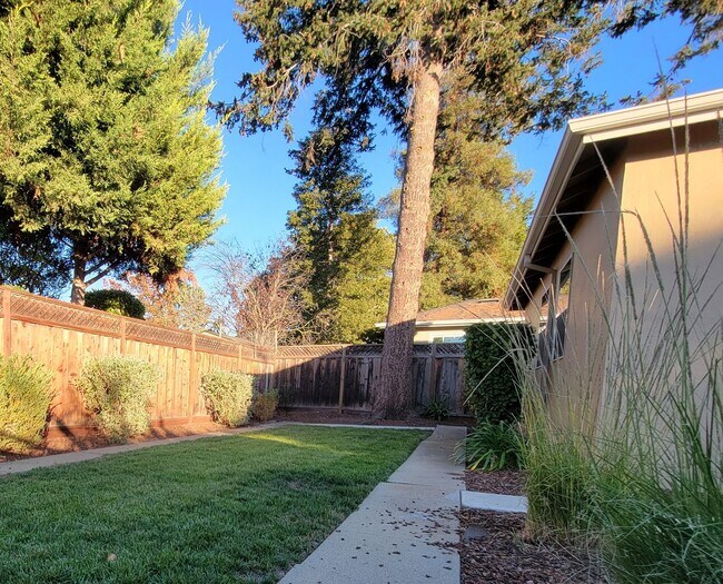 Building Photo - Updated Home in Palo Alto Available with Air Conditioning