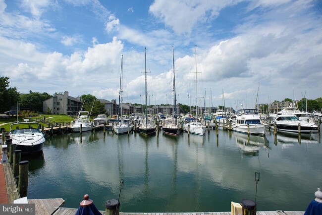 Primary Photo - 7025 Chesapeake Harbour Dr E