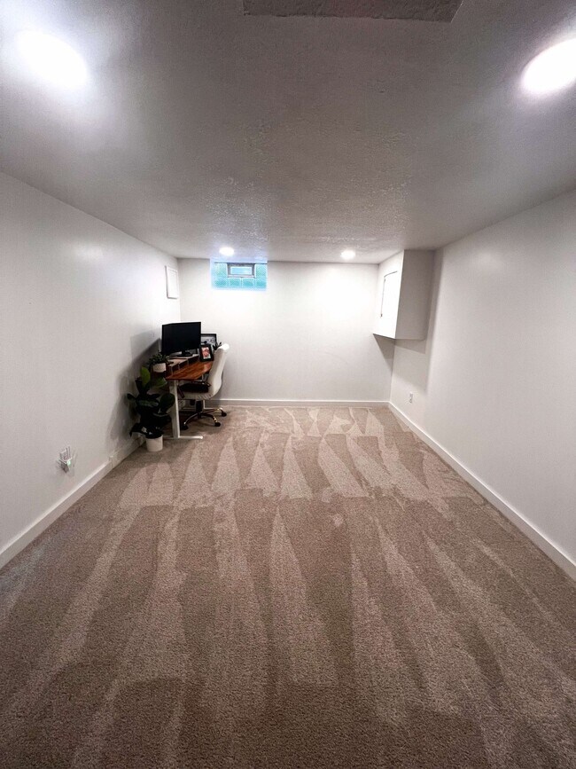 Basement living room side 1 - 8434 Colfax Ave S