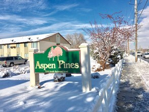 Building Photo - Aspen Pines