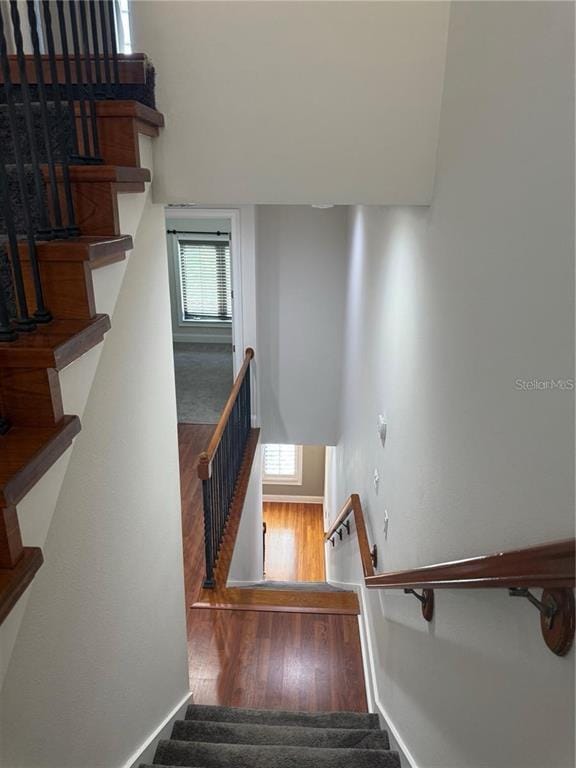 Building Photo - 2208 Soho Bay Ct