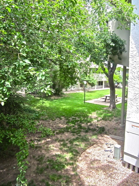 Building Photo - One Bedroom Apartment In Two Mile Creek.  Amazing Location!