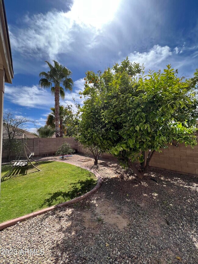 Building Photo - 1171 W Goldfinch Way