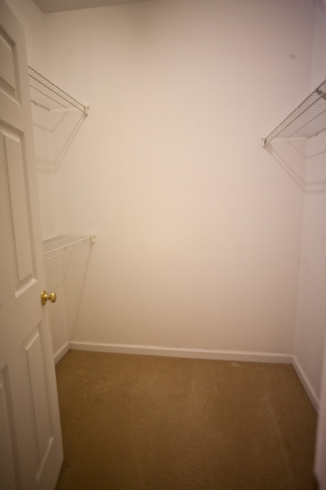 Building Photo - Spacious 3-Bedroom Ranch with Versatile Living Spaces and Modern Comforts