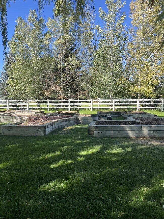 Building Photo - 3171 Horse Thief Dr