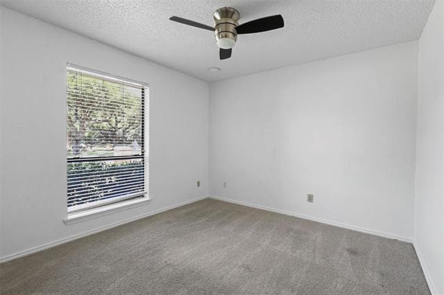 Building Photo - 3924 Morman Ln