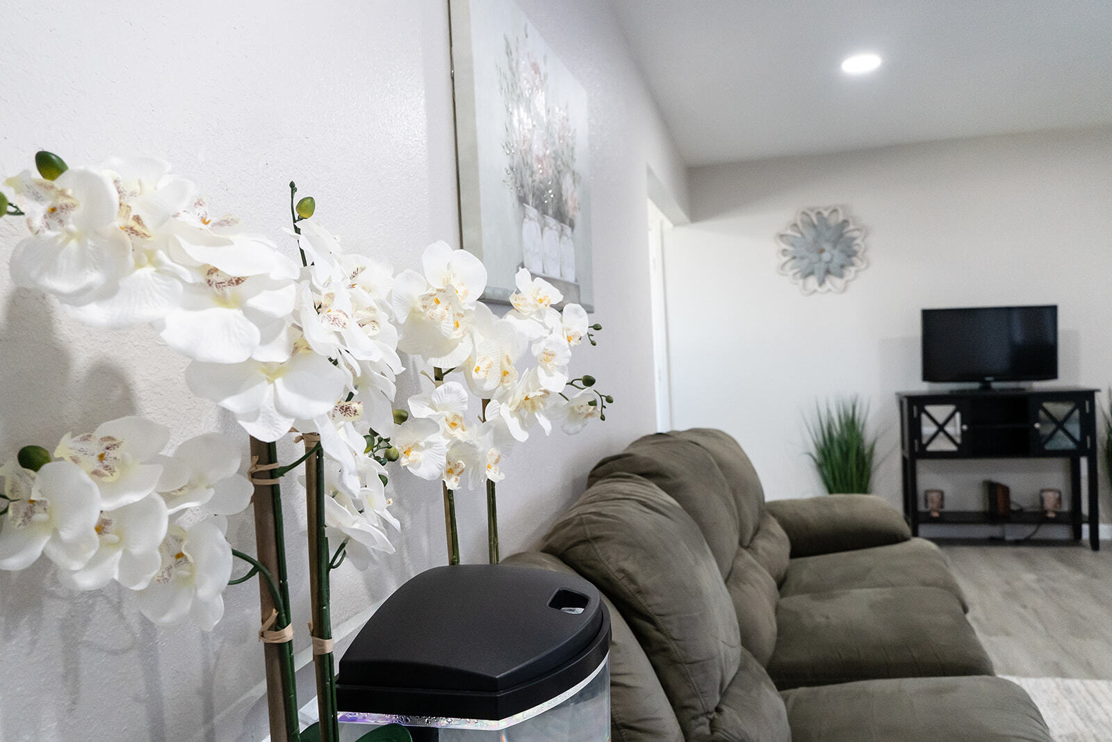Living room - 4228 Dawn Ave
