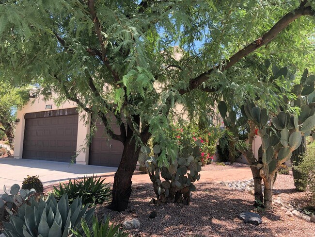 Building Photo - Beautiful Santa Fe Home on Large Corner Lot!