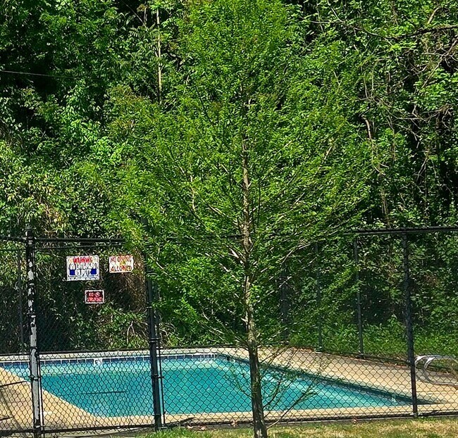 Building Photo - Charming Sunset Hills Condo