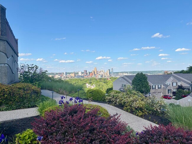 Building Photo - 323 Skyview Ct