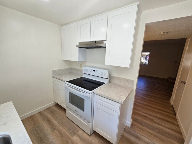 Building Photo - 910 Amistad Ct