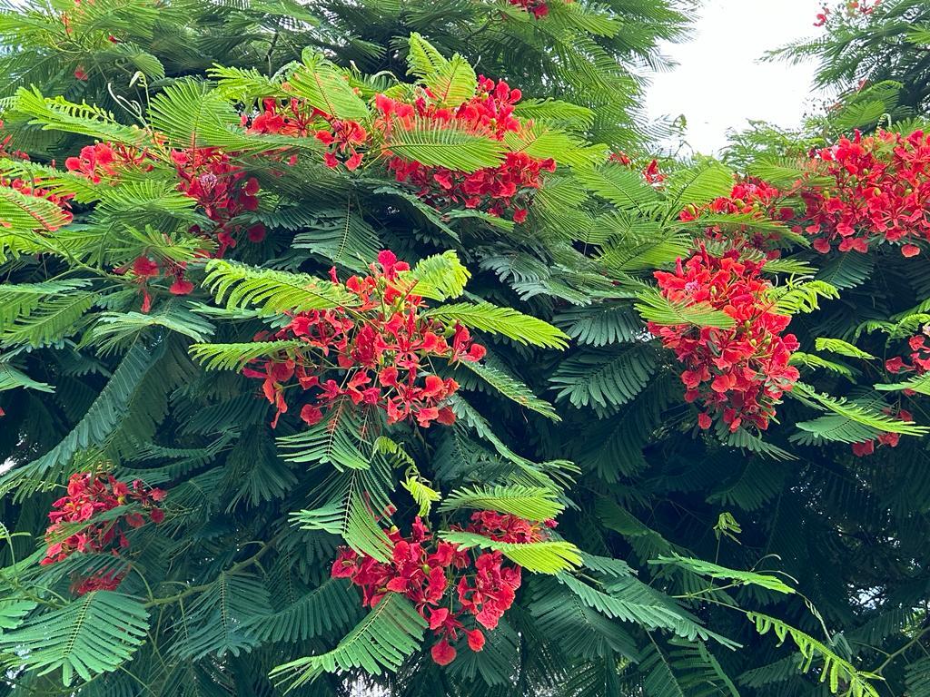 Building Photo - 1831 Kay Dr