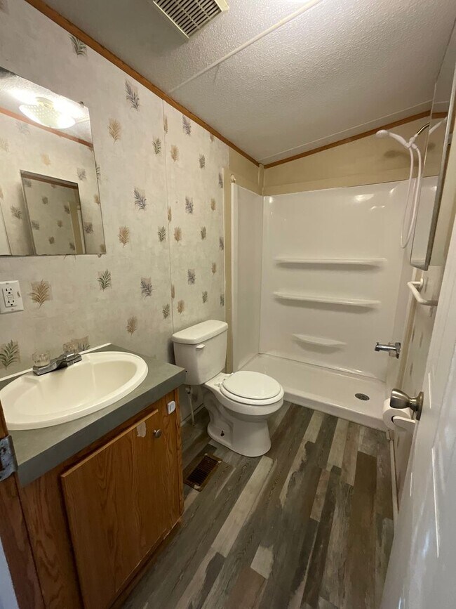 Building Photo - Singlewide in the country