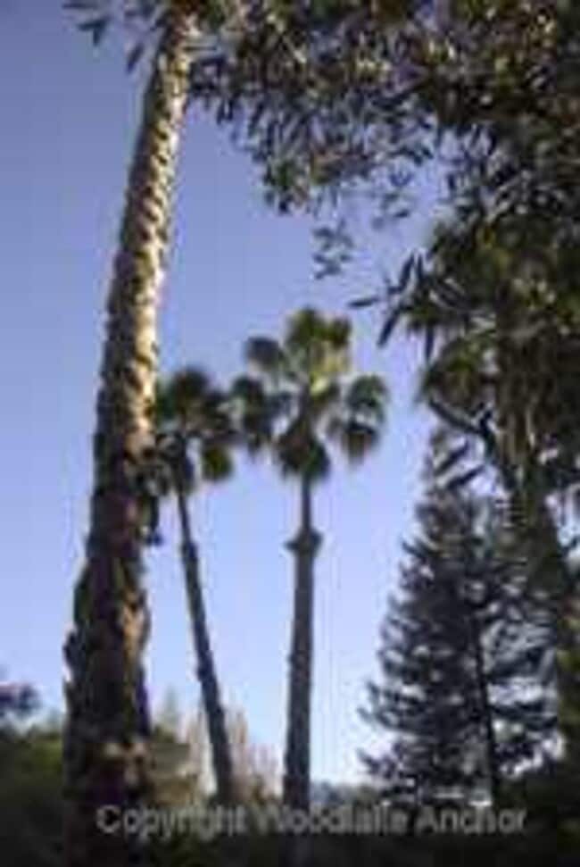 Building Photo - Lovely 1 bedroom at Shelter Creek
