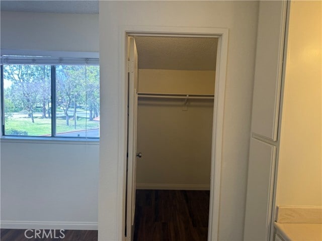 Building Photo - 4686 Canyon Park Ln