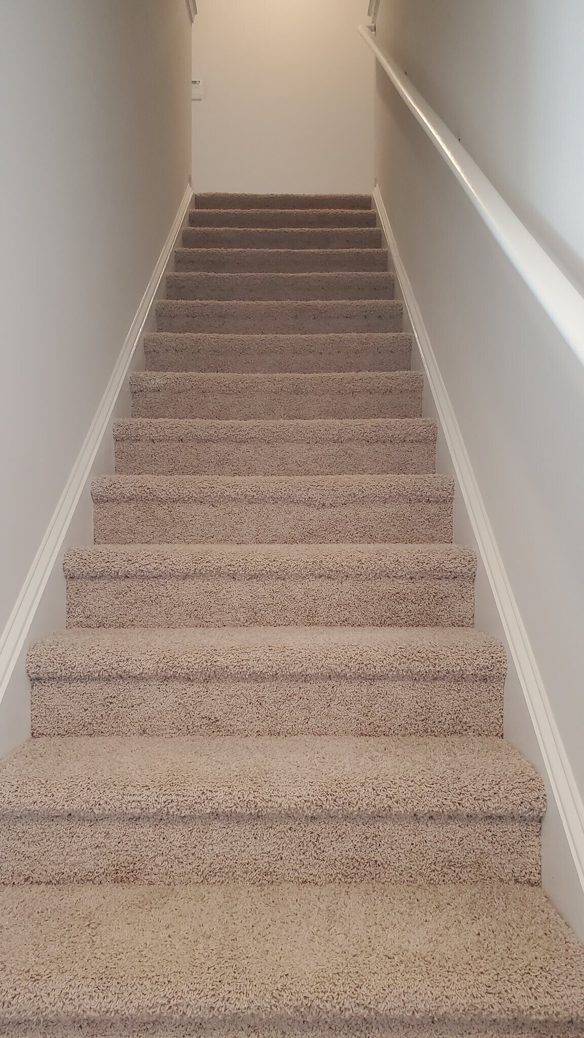 Building Photo - 1124 Broholmer Ln