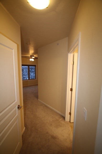 Building Photo - 2 Bedroom Condo close to Downtown!