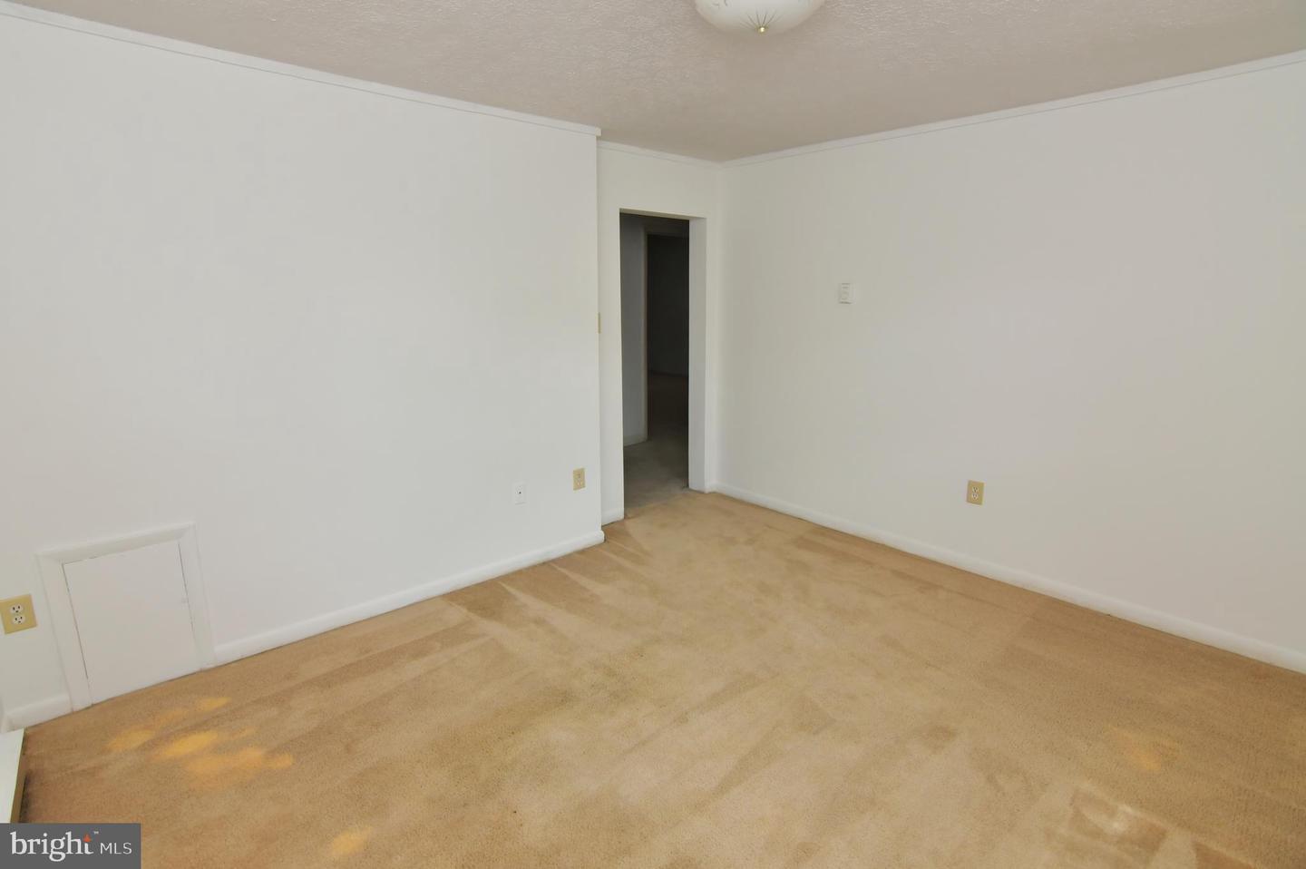 Building Photo - 24 Jackson Ave