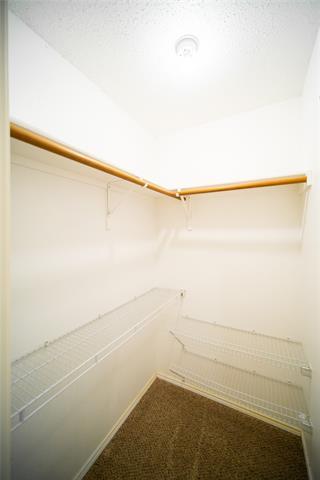 Building Photo - 4500 Shady Hollow Dr