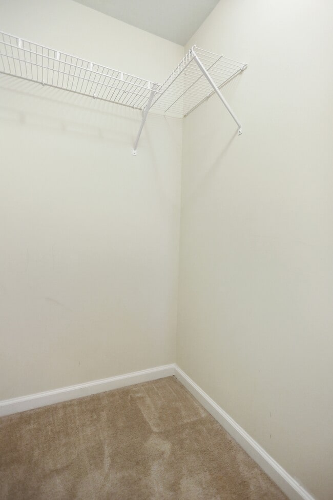 Building Photo - 18 Chillingham Ct