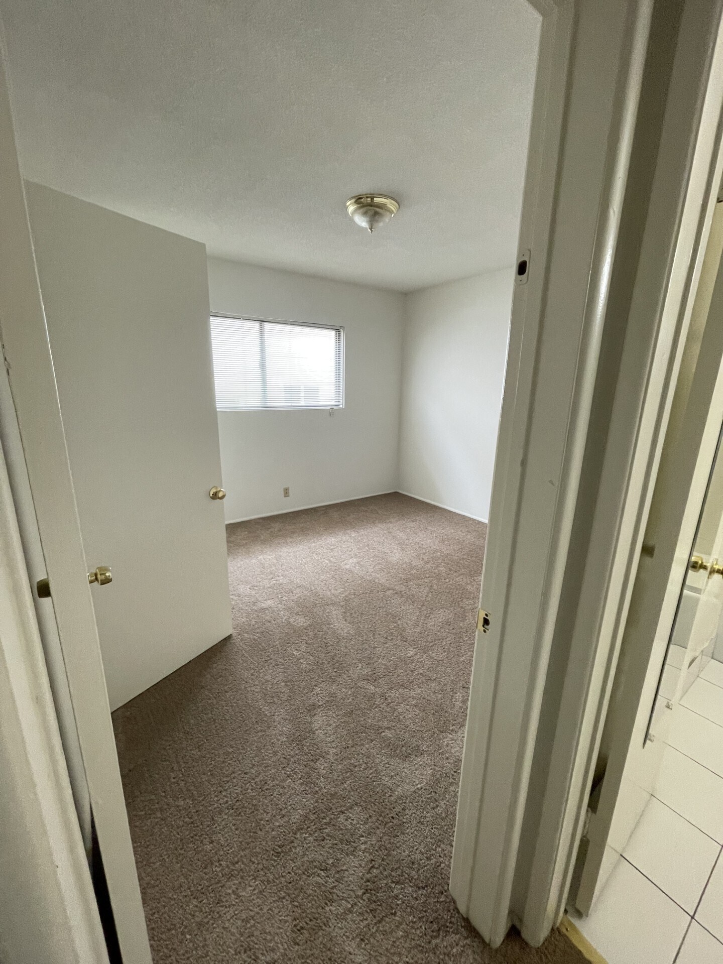 Building Photo - 2207 Carnegie Ln