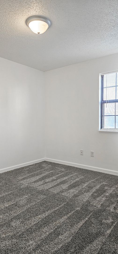 Building Photo - 1542 Diuguid Dr