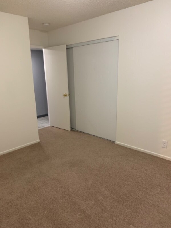 Building Photo - 5112 Sugar Foot Ave