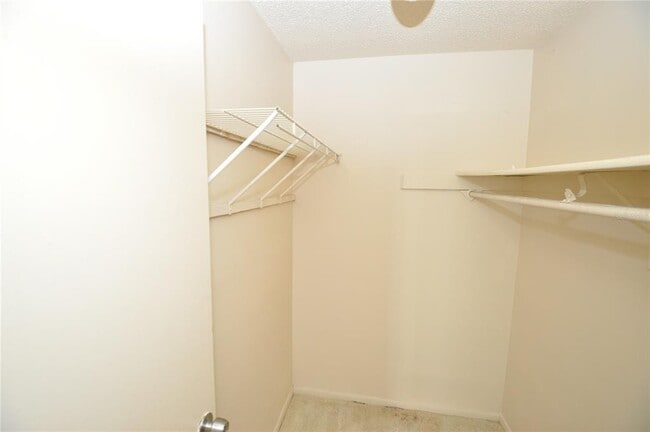 Building Photo - 145 Shannon Dr