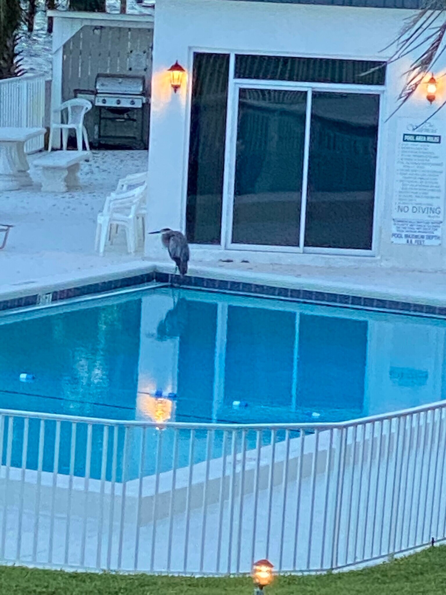 Pool - 151 Calhoun Ave