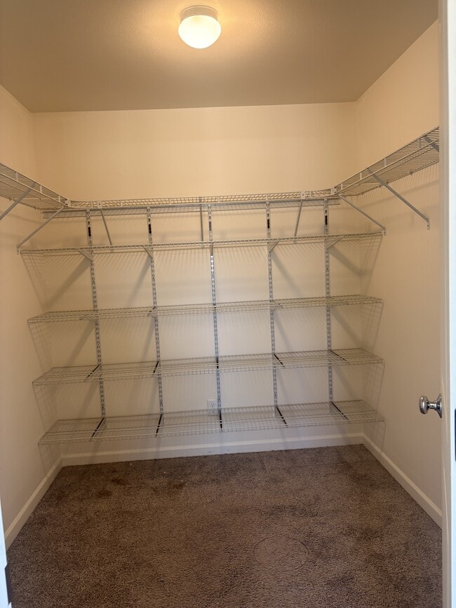 Building Photo - 151 Hoolaau St