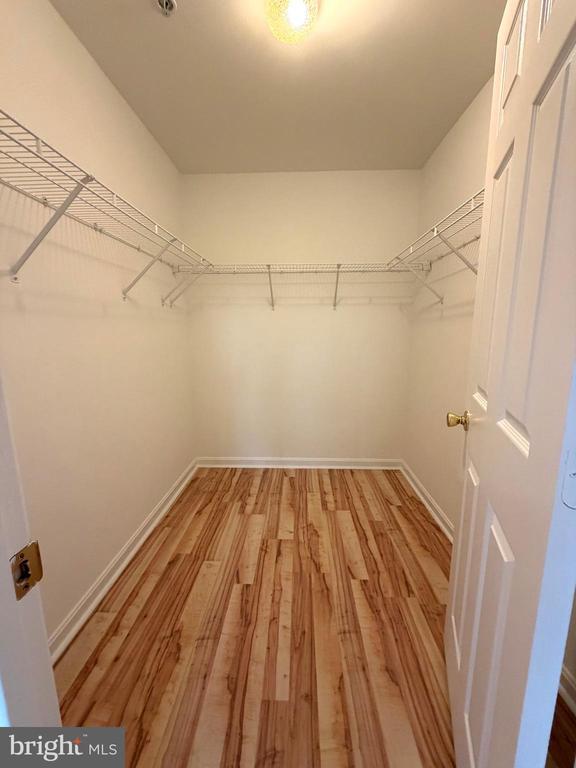 Building Photo - 540 Bridgeport Pl