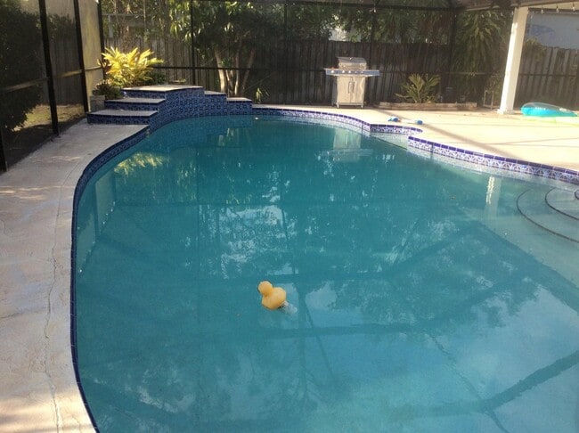 Building Photo - 12305 Sawgrass Ct