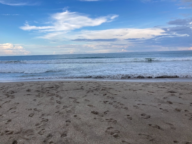 Building Photo - 2078 Nettles Blvd