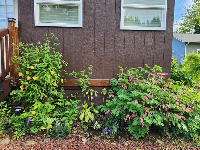 Building Photo - 780 NW Alder St