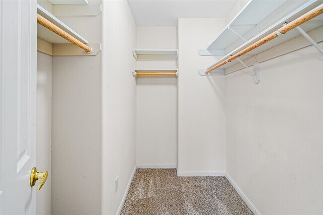 Building Photo - 2224 Shady Tree Ln