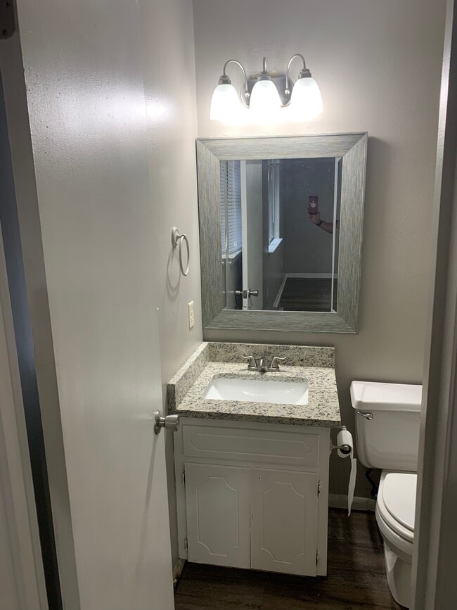 Master bathroom - new granite countertop and sink/faucet, new lighting and mirror. - 203 Club Ln