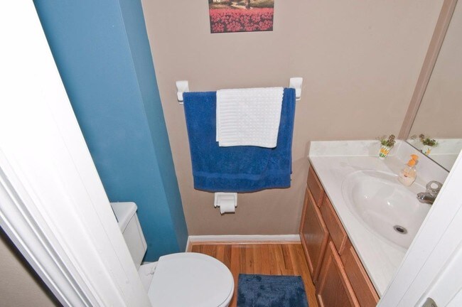 third bath - 1343 Sprucewood Ct