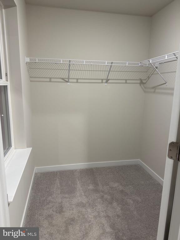 Building Photo - 7 Moran Pl