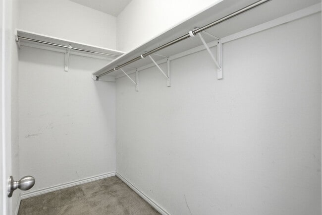 Building Photo - Single-Story Solar-Powered Home Near Braunig Lake – Comfortable & Convenient!