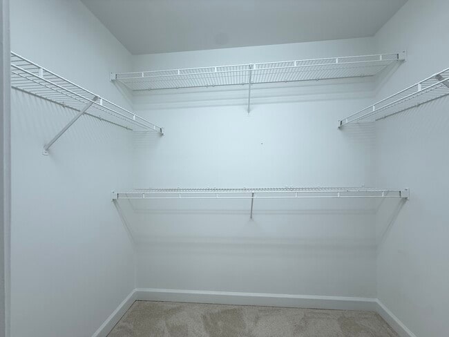 Building Photo - 2539 Springs Dr