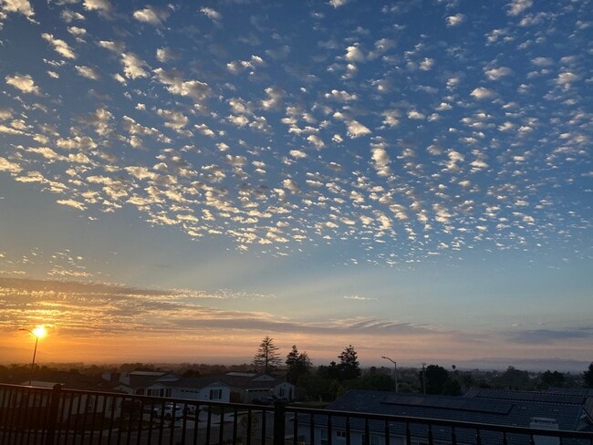 Building Photo - AMAZING 3+ bed, 2.5-bath Executive Home in Rice Ranch Community!