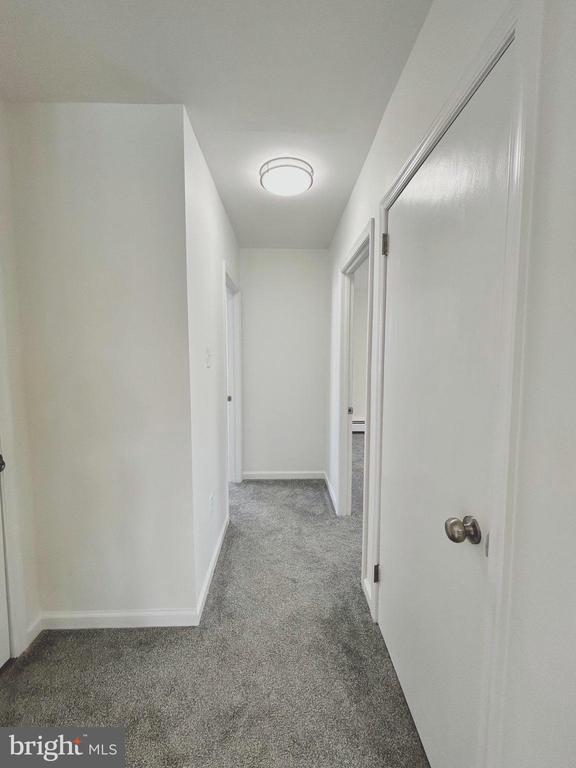 Building Photo - 1007 Ripley St