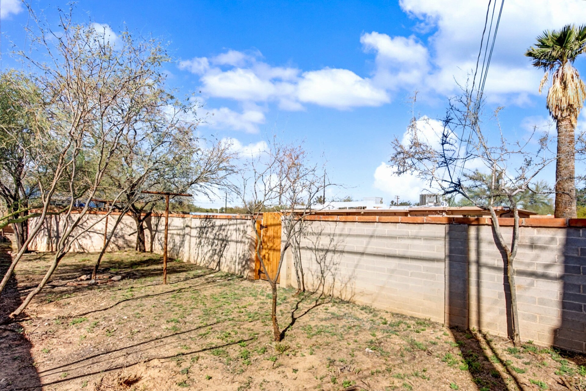 Building Photo - 3926 E Camino de Palmas