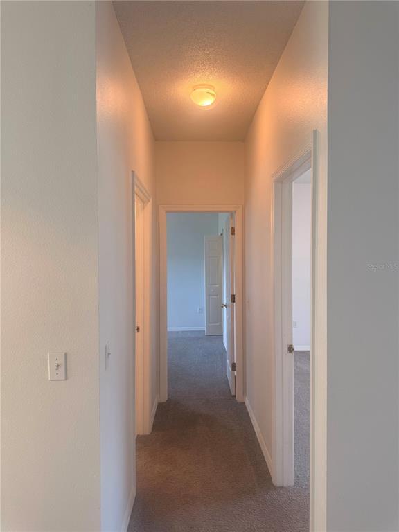 Building Photo - 327 Alegriano Ct