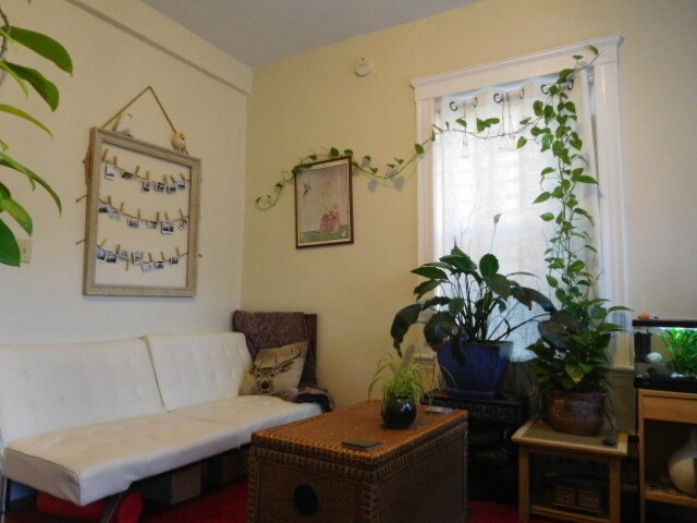 Building Photo - 165 Kelton St